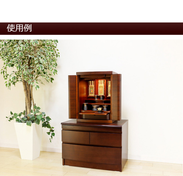 バラ台木　150本　専用出品 バラ台木 150本 専用出品 【公式通販】