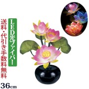 盆提灯