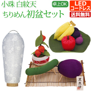 初盆 新盆 提灯 セット
