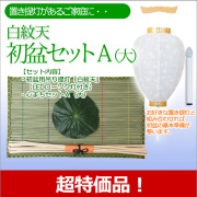 盆提灯