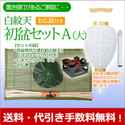 盆提灯