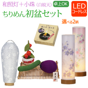 初盆 新盆 提灯 セット