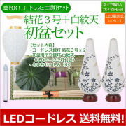 盆提灯
