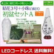 盆提灯