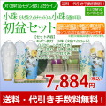 盆提灯