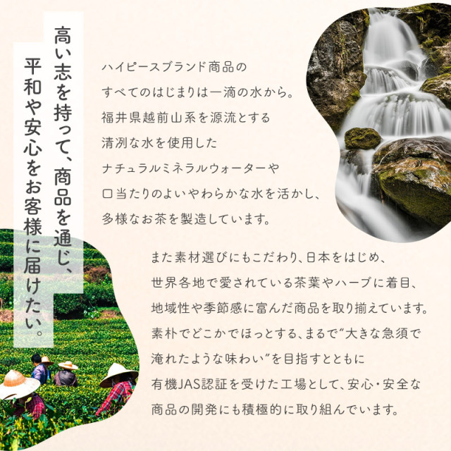 茶人宅からの蔵出品　染付小壺　振出　時代保証品 茶器 汲出揃 蓋・茶托付 染付山水 六客