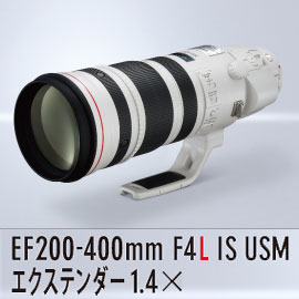 キヤノン Ef0 400mm F4l Is Usm エクステンダー 1 4x カード決済不可 ネイチャーショップkyoei