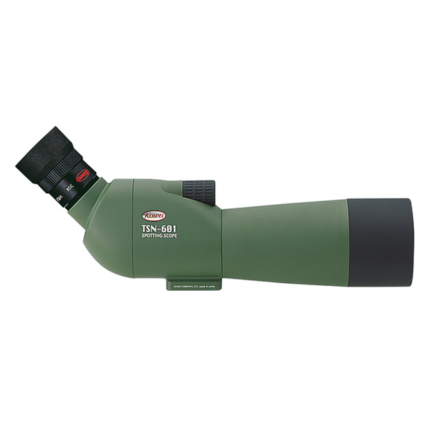 ♦︎ OGAWA / 湿地帯と金魚 Ogawa Tent Woodland5 | キャンプ用品・資料倉庫からのつぶやき