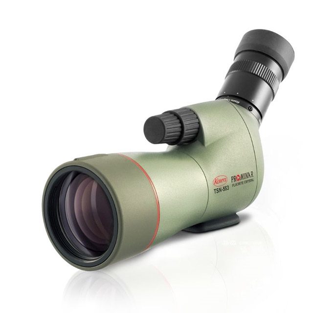 コーワ TSN-553 PROMINAR フローライト（傾斜型）【完売御礼