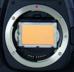 アストロノミック　L-1フィルター Canon EOSフルサイズ用 ※お取り寄せ・キャンセル不可