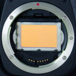 アストロノミック UHC-Eフィルター Canon EOSフルサイズ用 ※お