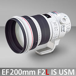 キヤノン Ef0mm F2l Is Usm カード決済不可 ネイチャーショップkyoei