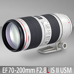 キヤノン Ef70 0mm F2 8l Is Ii Usm カード決済不可 ネイチャーショップkyoei