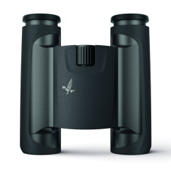 スワロフスキー　CL POCKET elegant 8x25 ブラック【即納】【スワロクリーニングキットプレゼント】