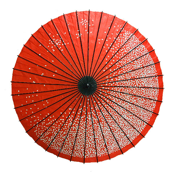 満天桜 朱色