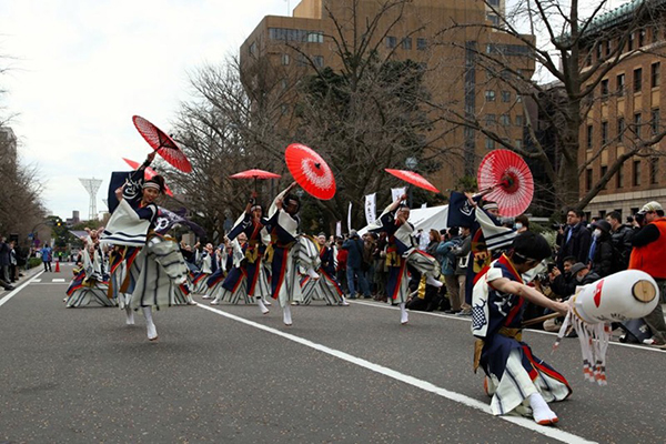 和傘の実用提供写真2