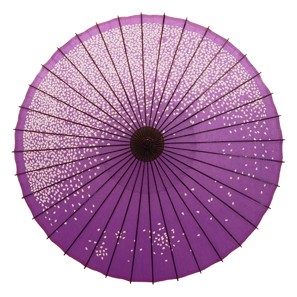 紙傘 尺5 満天桜 紫