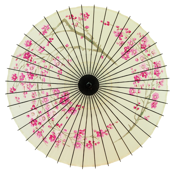 絹傘 桜絵 白