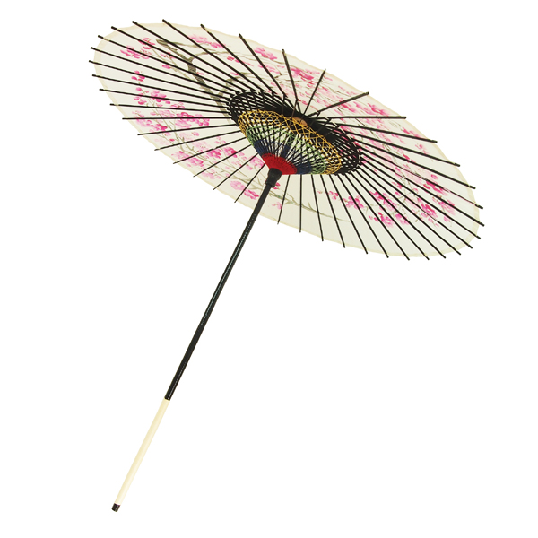 絹傘 桜絵 白