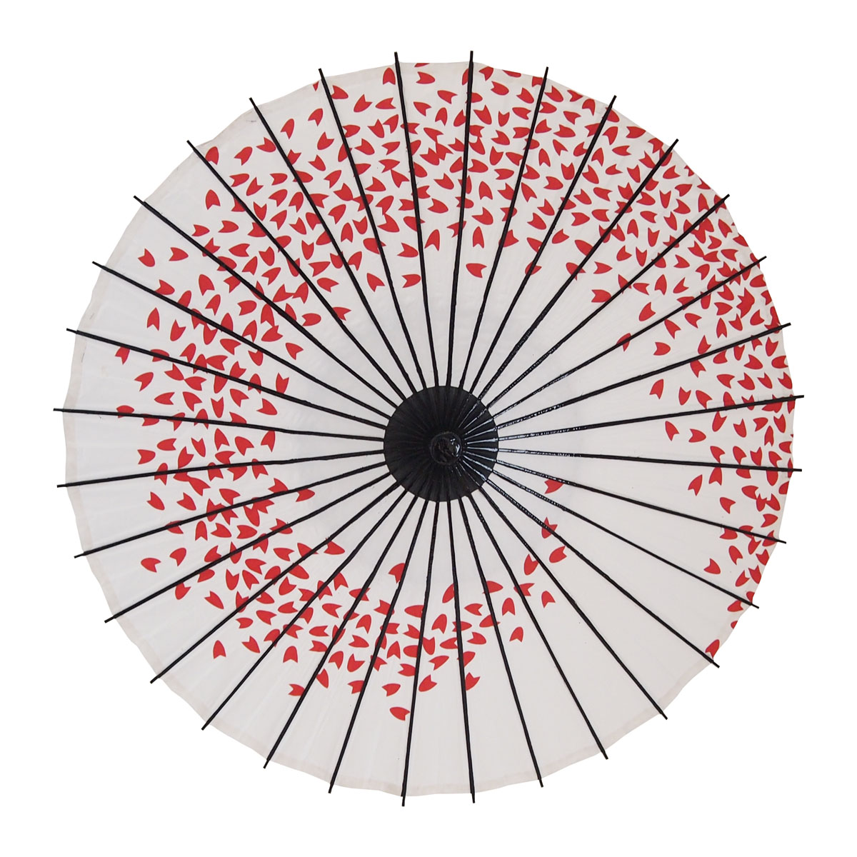こども用和傘 桜渦 白地赤