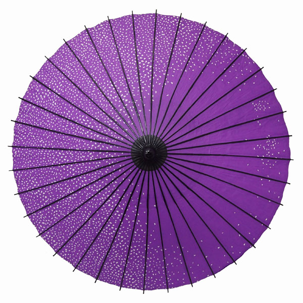 紙傘 満天桜 紫