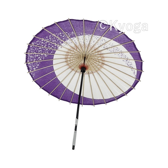 da1052_1.jpg?t=20240723123912