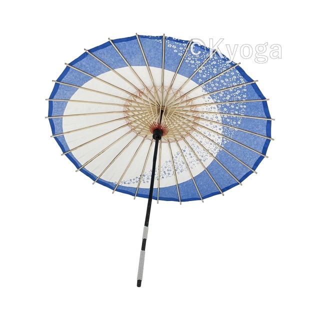 da1053_1.jpg?t=20240723123916