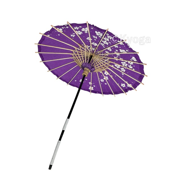 唐傘　こども用傘　桜小路　紫