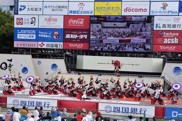 和傘の実用提供写真2
