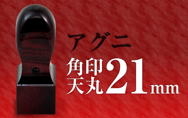 角印 アグニ 天丸21