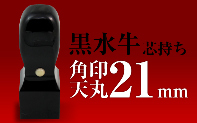 角印 黒水牛 天丸21