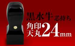 角印 黒水牛 天丸24