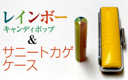 レインボー&サニートカゲ