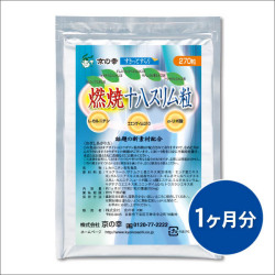 燃焼十八スリム粒 　1ヵ月分