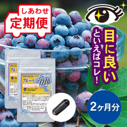 【定期便】 ブルーベリーQ10 2ヵ月分