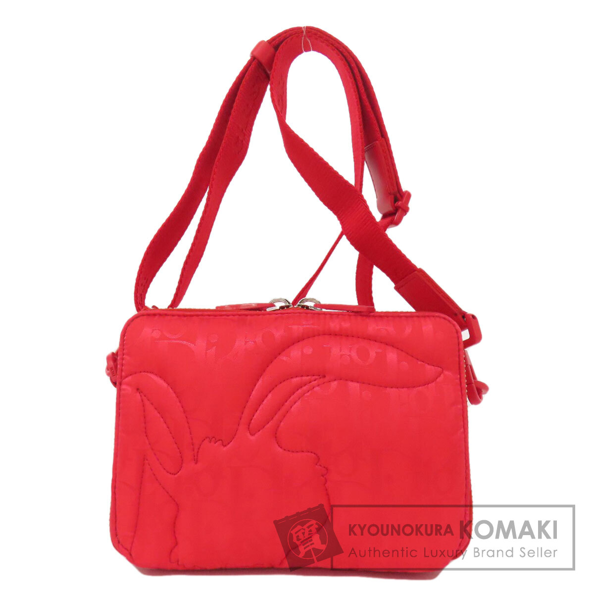 クリスチャンディオール ショルダーバッグ ERLコラボ トロッター柄 ミラージュ