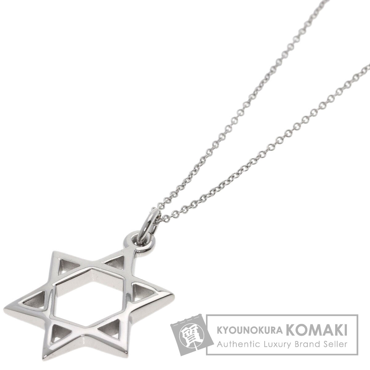 ティファニー ネックレス ダビデ