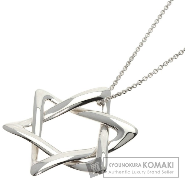 TIFFANY&Co. ティファニー スターオブダビデ ラージ ネックレス  