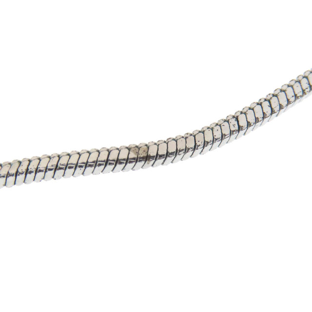 Dior トロッタープレートネックレス Christian Dior ディオール ネックレス トロッタープレート 40cm