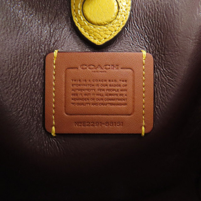 コーチ ハンドバッグ ハドリー ホーボー21 カラーブロック 2WAY