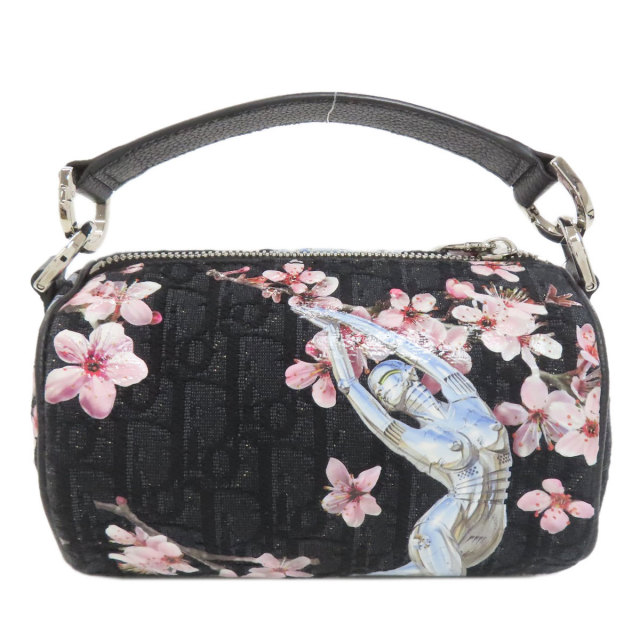 CHRISTIAN DIOR クリスチャンディオール 空山基コラボ トロッター 桜