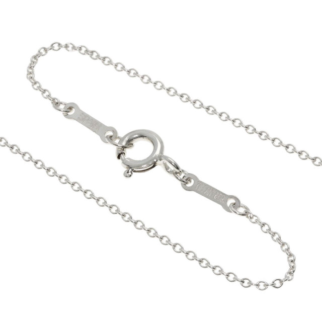 TIFFANY&Co. ティファニー エターナル サークル ロング ネックレス