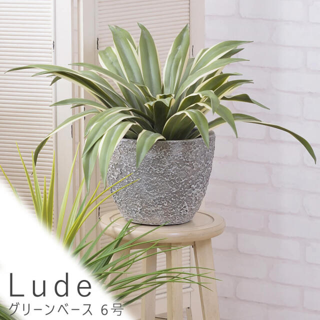 Lude（ルード）　グリーンベース