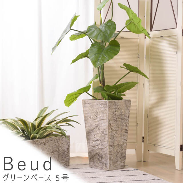 Beud （ベウド）　グリーンベース 5号