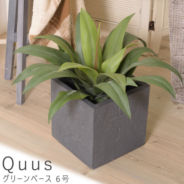 Quus（クース） グリーンベース 6号