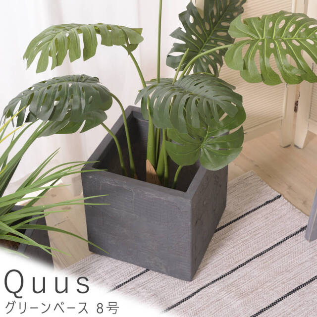 Quus（クース） グリーンベース 8号