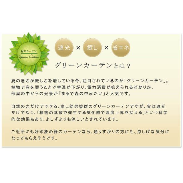 エクステリア