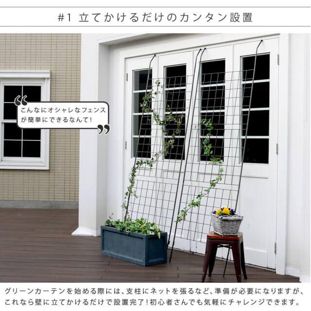 Steccato（ステッカート） アイアン製グリーンカーテン