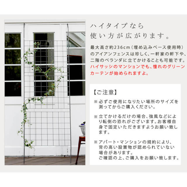 Steccato（ステッカート） アイアン製グリーンカーテン