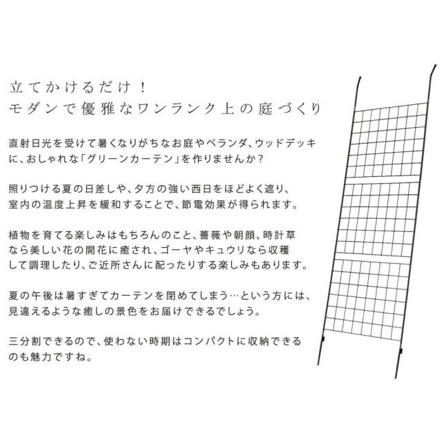 Steccato（ステッカート） アイアン製グリーンカーテン